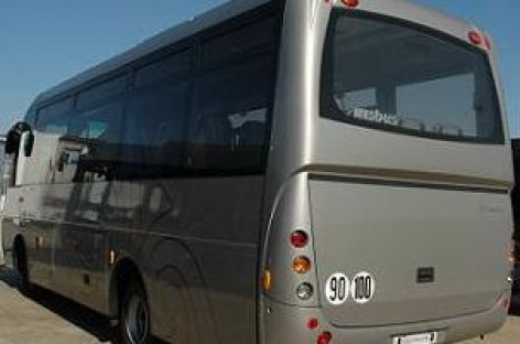 Lietuviškas autobusas. Svajonė ar realybė?