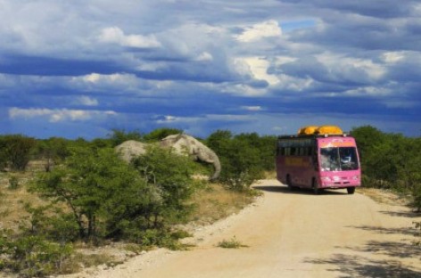 Aplink pasaulį – rožiniu „Scania“ autobusu