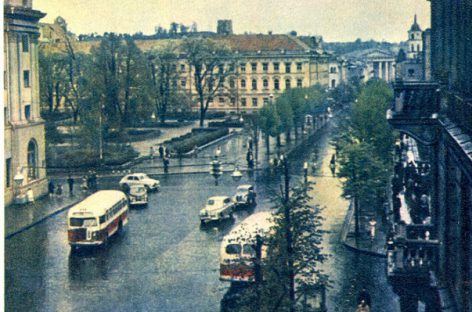 Vilniaus autobusų istorija 1951-1954-aisiais