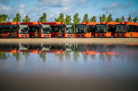 Plečiant Viršuliškių troleibusų parko teritoriją suplanuota daugiau želdinių