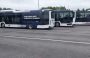 „Scania“ nebegamins kėbulų autobusams Lenkijoje