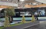 Autobusų pasaulio naujienos Hanoverio IAA parodoje: atsisveikinimas su dyzeliu