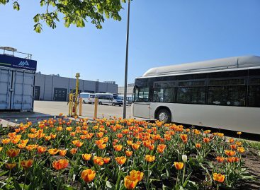 Pavasaris atėjo į Marijampolės autobusų parką
