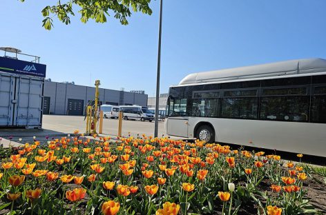 Pavasaris atėjo į Marijampolės autobusų parką