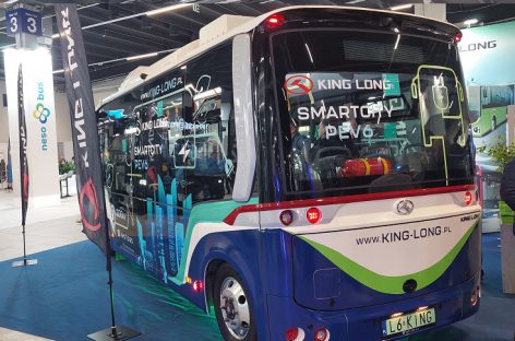 „Regitra“: nuo metų pradžios kiniškų elektromobilių Lietuvoje padaugėjo 63 proc.