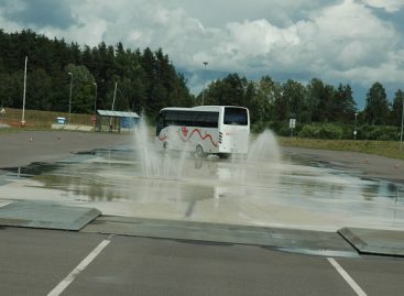 Liūtys tikrina kelininkų budrumą