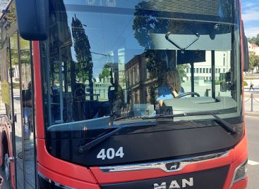 Viešojo transporto eismas Kaune Žolinių dieną