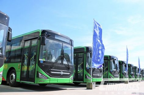 Kaip atrodo autobusai, kirsiantys Sacharos dykumą?