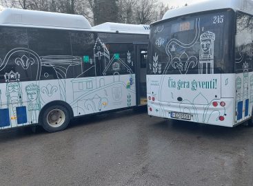 Autobusų parkai kaip energijos centrai: saulės elektrinės ir antrinis baterijų panaudojimas Lietuvoje