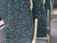 Nuo birželio 1 d. – nemokamas miesto viešasis transportas Palangiškio kortelės turėtojams